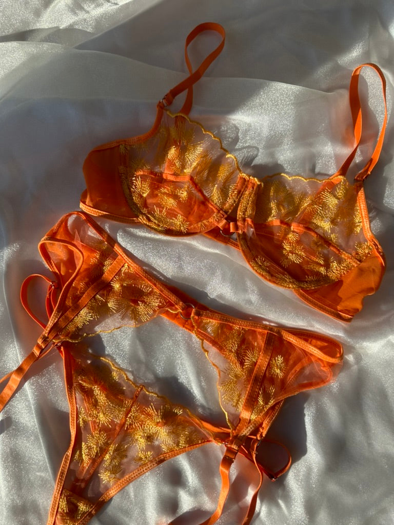The Maple Spice Set