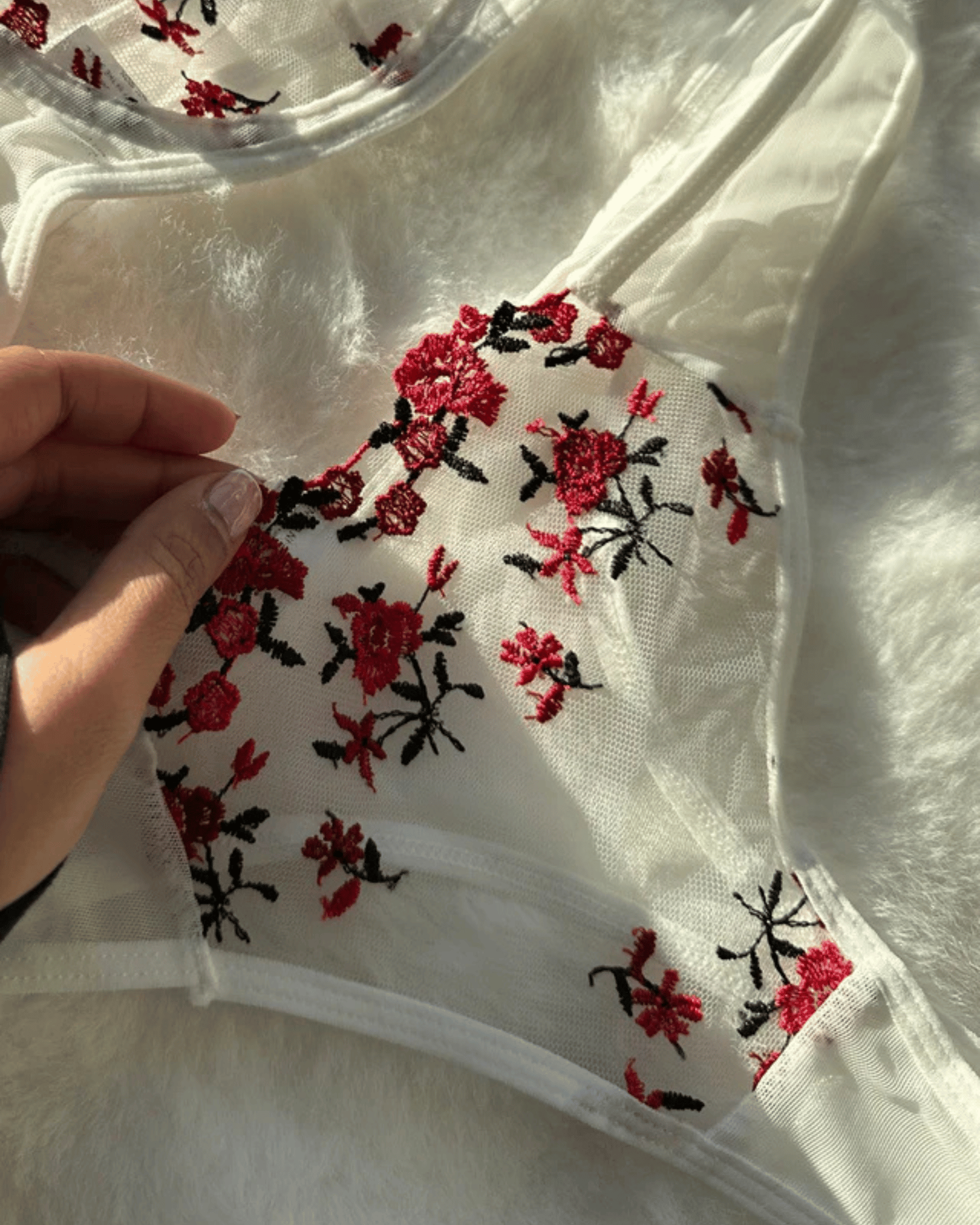 The City of the Rose Set