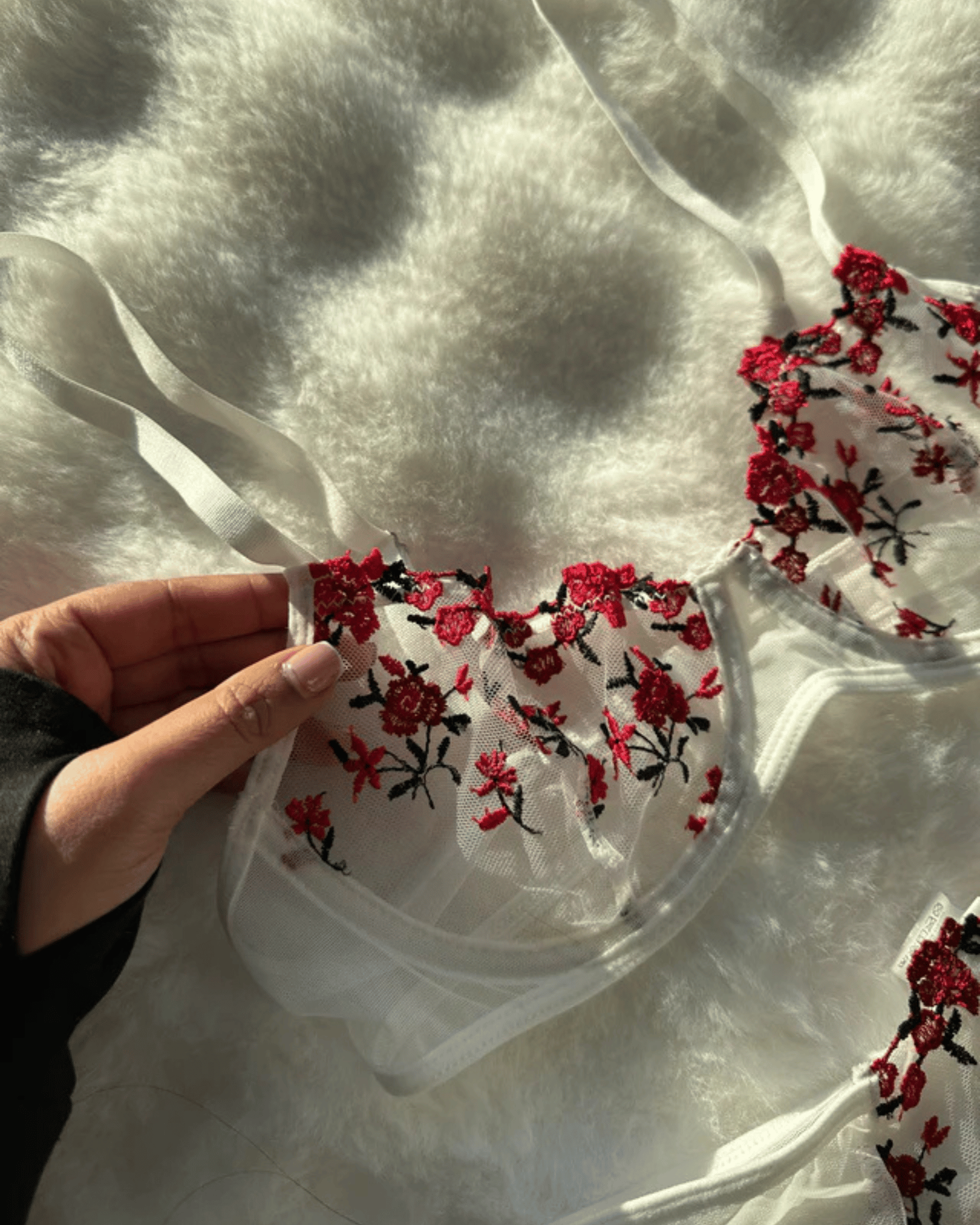 The City of the Rose Set