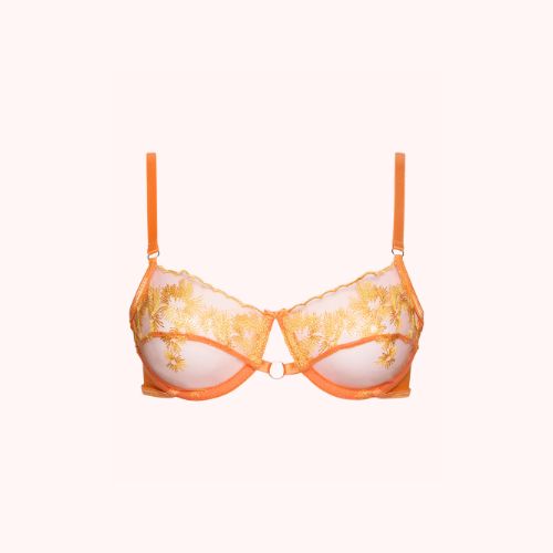 The Maple Spice Set