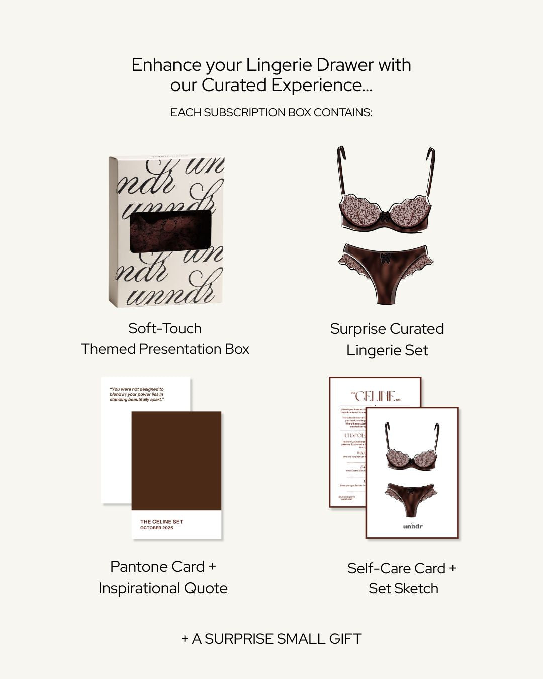 The Lingerie Subscription - 30 Days